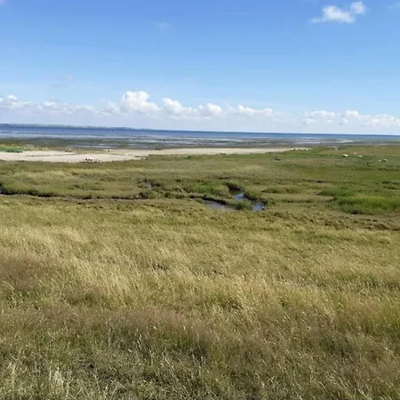 Apartman 4 Person In Romo-by Traum *