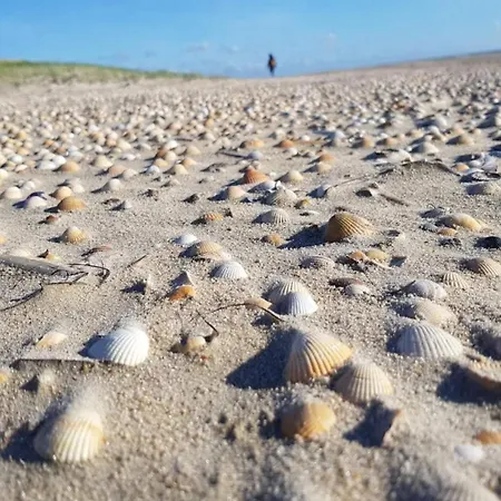 Apartman 4 Person In Romo-by Traum *