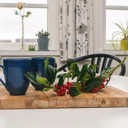 4 Person In Romo-by Traum 公寓