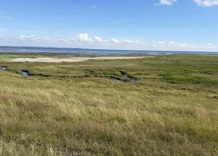 Lägenhet 4 Person In Romo-by Traum *