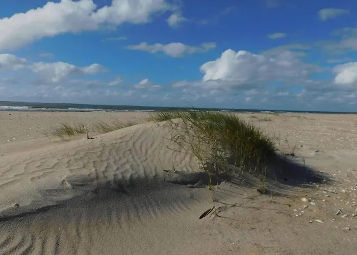 4 Person In Romo-by Traum