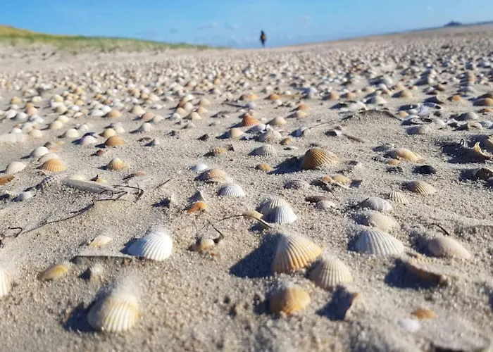 Lägenhet 4 Person In Romo-by Traum *